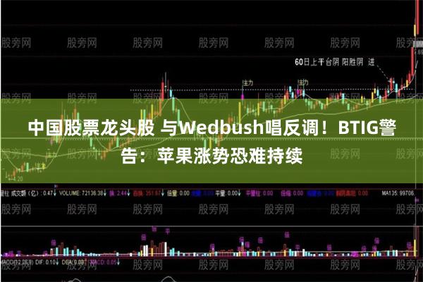中国股票龙头股 与Wedbush唱反调！BTIG警告：苹果涨势恐难持续