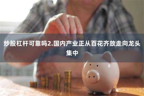 炒股杠杆可靠吗2.国内产业正从百花齐放走向龙头集中