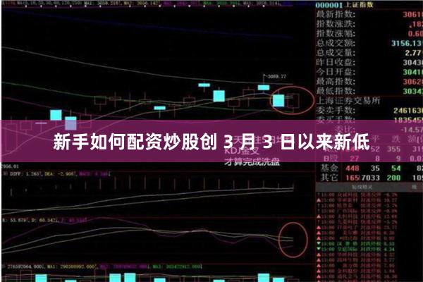 新手如何配资炒股创 3 月 3 日以来新低