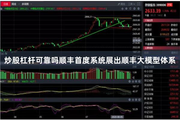 炒股杠杆可靠吗顺丰首度系统展出顺丰大模型体系