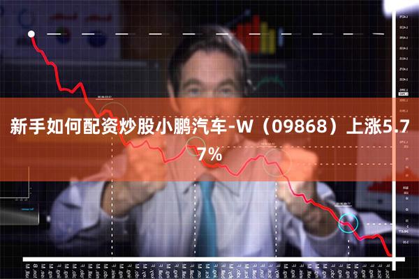 新手如何配资炒股小鹏汽车-W(09868)上涨5.77%