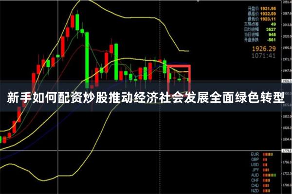 新手如何配资炒股推动经济社会发展全面绿色转型