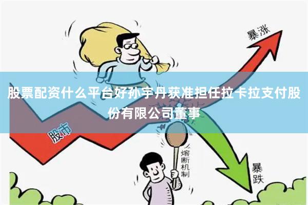 股票配资什么平台好孙宇丹获准担任拉卡拉支付股份有限公司董事