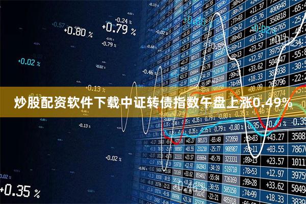 炒股配资软件下载中证转债指数午盘上涨0.49%