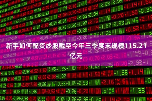 新手如何配资炒股截至今年三季度末规模115.21亿元